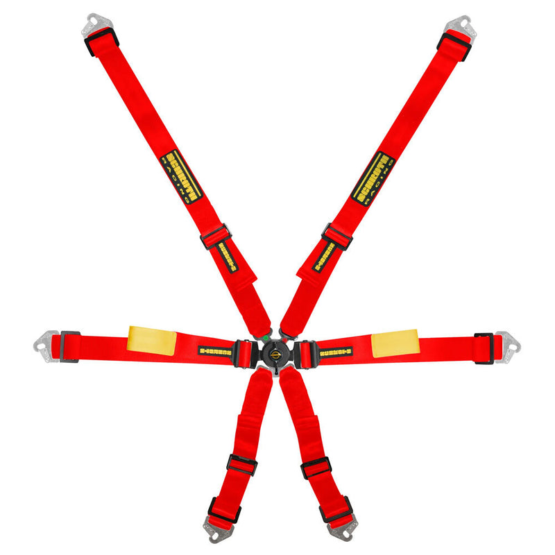 SCHROTH Enduro 2x2 6-Point FHR Harness
