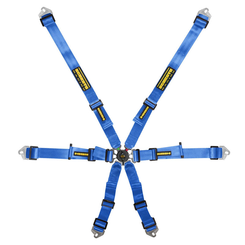 SCHROTH Flexi 2x2 6-Point FHR Harness