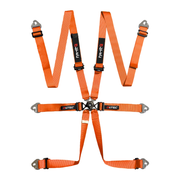 LTEC Endurance 6-Point FHR Harness