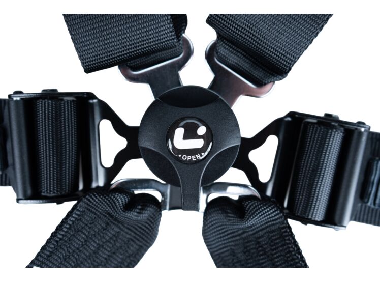 LTEC Endurance 6-Point FHR Harness – detail