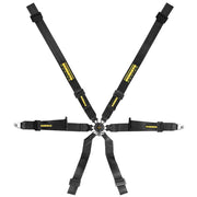 SCHROTH Profi XLT 2x2 6-Point FHR Harness