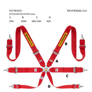 Sabelt Silver Rally 3x3 6-Point Harness