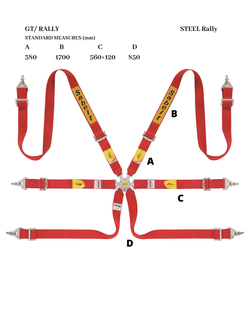 Sabelt Steel Rally 2x2 6-Point Harness